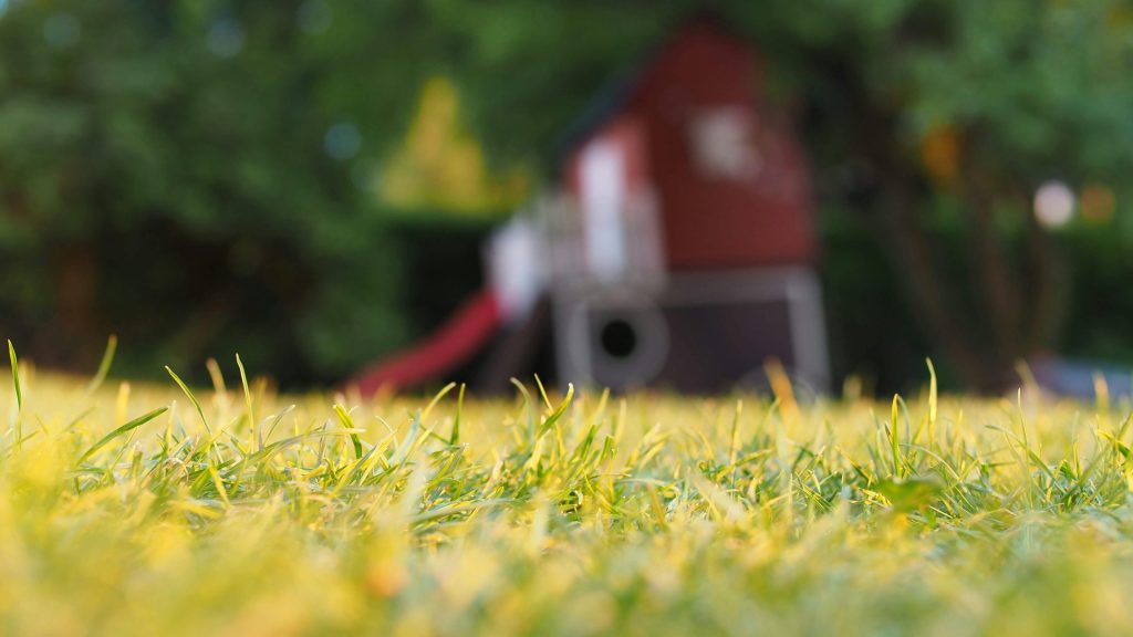 Het aanleggen van kunstgras in de tuin